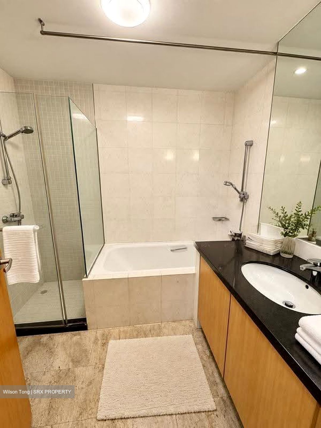 The Serenade @ Holland (D10), Condominium #627906231